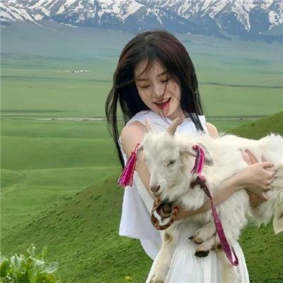 发达痴梦